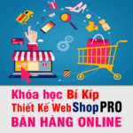 Học Thiết Kế Web Chuẩn SEO WordPress Shop Bán Hàng Online Pro